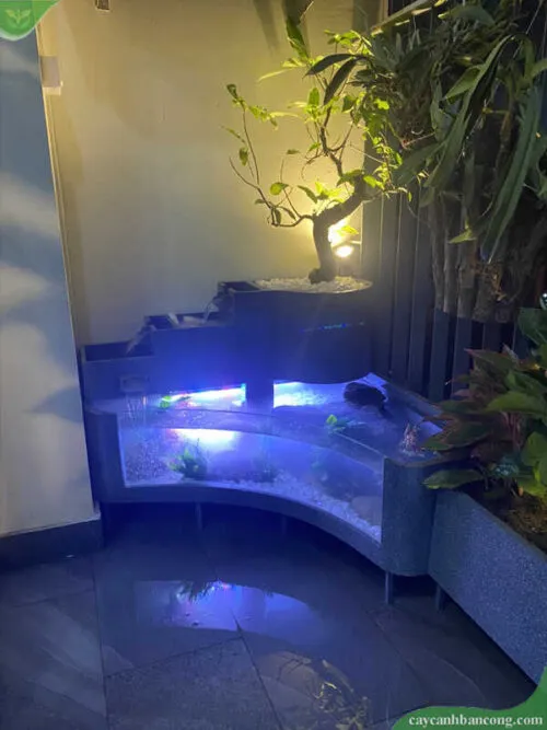 Sản phẩm be ca ban cong 500x667 — Công Ty TNHH Cảnh Quan ViewGarden — MST 0110093790
