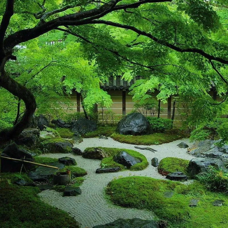 Sản phẩm nghe thuat thiet ke san vuon kieu nhat — Công Ty TNHH Cảnh Quan ViewGarden — MST 0110093790