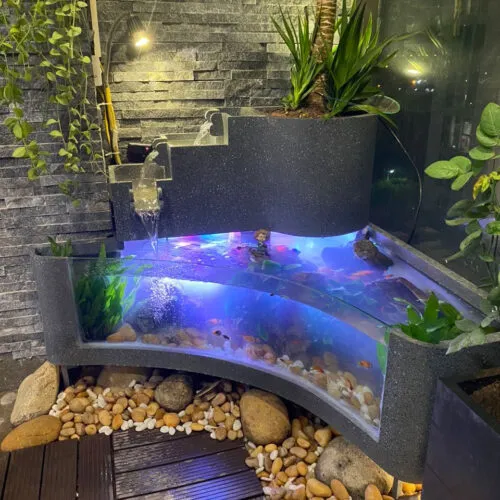 Sản phẩm be ca mini 500x500 — Công Ty TNHH Cảnh Quan ViewGarden — MST 0110093790