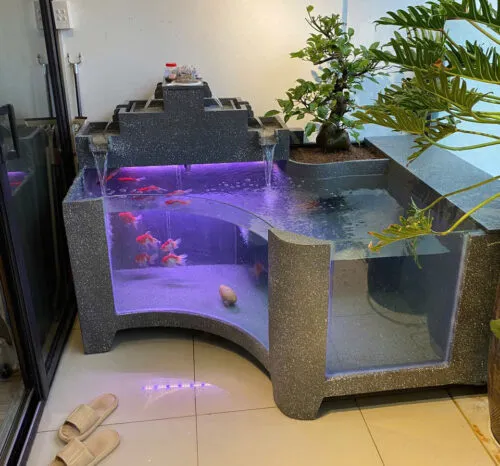 Sản phẩm tieu canh ho ca mini 500x466 — Công Ty TNHH Cảnh Quan ViewGarden — MST 0110093790