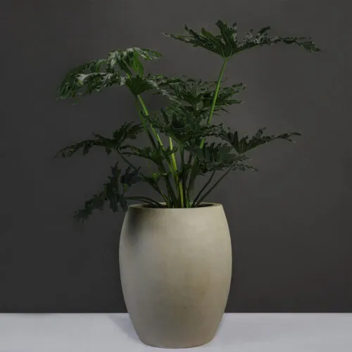 Sản phẩm chau composite chau hanh phuc 2 500x500 — Công Ty TNHH Cảnh Quan ViewGarden — MST 0110093790
