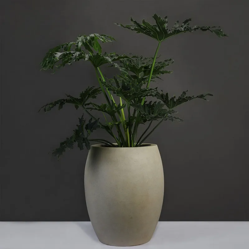 Sản phẩm chau composite chau hanh phuc 2 — Công Ty TNHH Cảnh Quan ViewGarden — MST 0110093790
