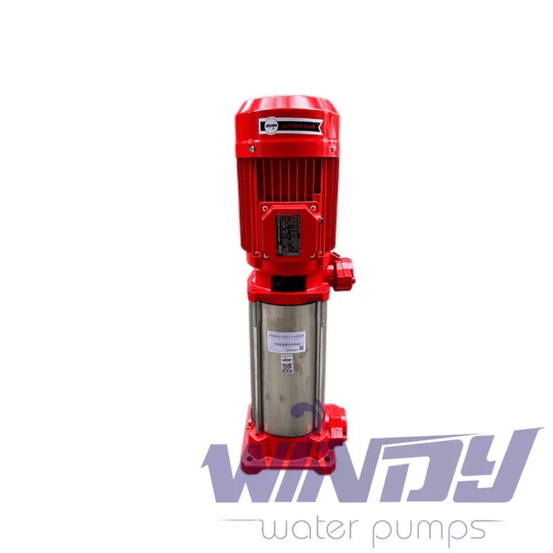 Sản phẩm bu nho  — Công Ty TNHH Thương Mại Windy Việt Nam — MST 0110096294