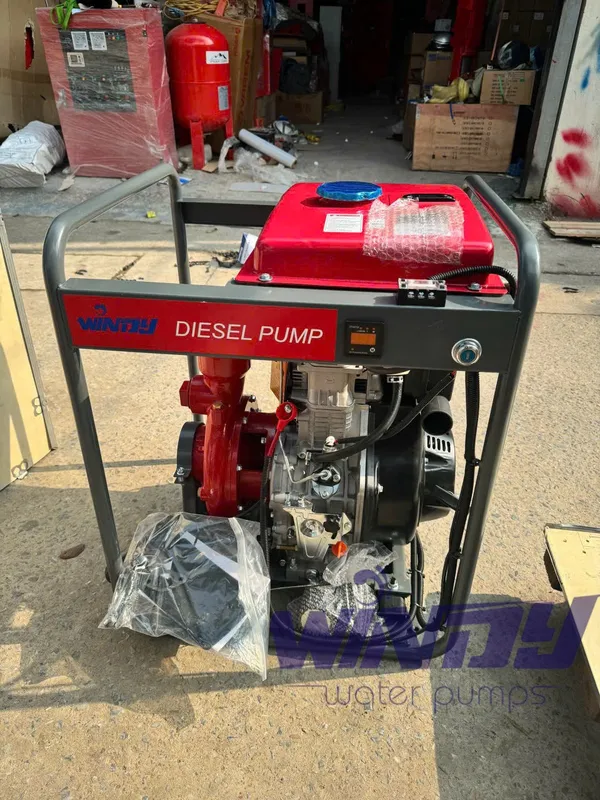 Sản phẩm z7893129180697_2e4f0f7bdc1025866a088e95b8b2b259 1 — Công Ty TNHH Thương Mại Windy Việt Nam — MST 0110096294