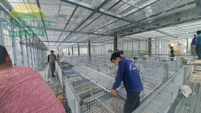 Sản phẩm luoi thep han cho gian lan — Công Ty TNHH Thanhdatvina Cnc — MST 0110103897