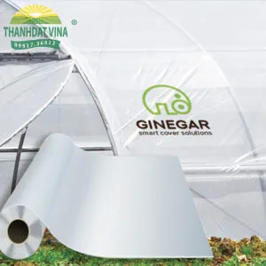 Sản phẩm mang pe nha kinh israel 1 300x300 — Công Ty TNHH Thanhdatvina Cnc — MST 0110103897
