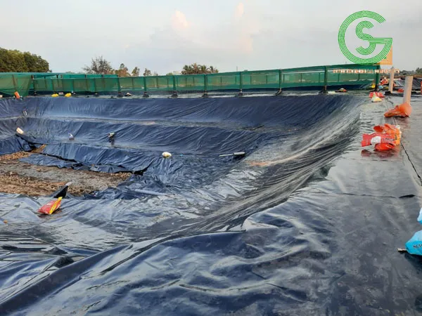 Sản phẩm bat lot ho tom 2024 — Công Ty TNHH Địa Kỹ Thuật Sunco — MST 0110104918