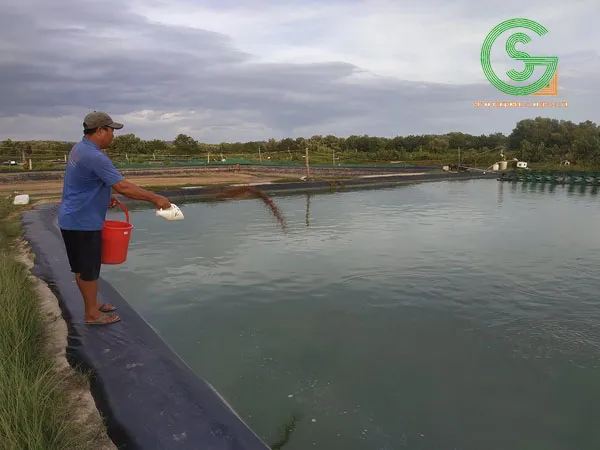Sản phẩm nuoi ca nuoc ngot trong ao lot bat — Công Ty TNHH Địa Kỹ Thuật Sunco — MST 0110104918