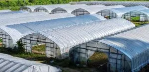 Sản phẩm tintuc3 300x145 — Vật Liệu Đóng Gói HP389 - Công Ty TNHH Nhựa HP389 — MST 0110144420