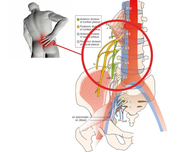 Sản phẩm benh ly re than kinh cot song that lung e1701758156952 1 — Công Ty Cổ Phần Chăm Sóc Sức Khỏe HTC — MST 0110272944