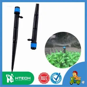 Sản phẩm cay cam bec tuoi xoe_300x300 — Công Ty TNHH Thương Mại Và Kỹ Thuật HTECH — MST 0110276272