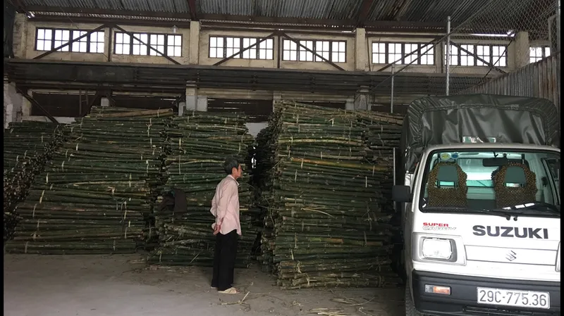 Sản phẩm custom custom untitled — Cọc Tre, Cọc Bê Tông Hà Nội - Công Ty TNHH Cọc Tre Và Cọc Bê Tông Hùng Mai — MST 0110280430