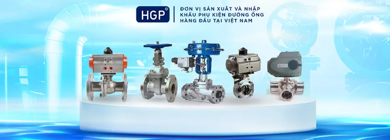 Sản phẩm b1 — Công Ty TNHH HGP Global — MST 0110286104
