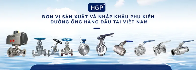 Sản phẩm b2 — Công Ty TNHH HGP Global — MST 0110286104