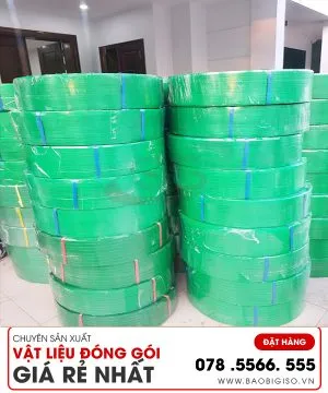 Sản phẩm DAY DAI PET 300x360 — Công Ty TNHH Sản Xuất Bao Bì Giang Sơn — MST 0110302187