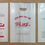Sản phẩm tui shopping 150x150 — Công Ty TNHH Sản Xuất Bao Bì Giang Sơn — MST 0110302187