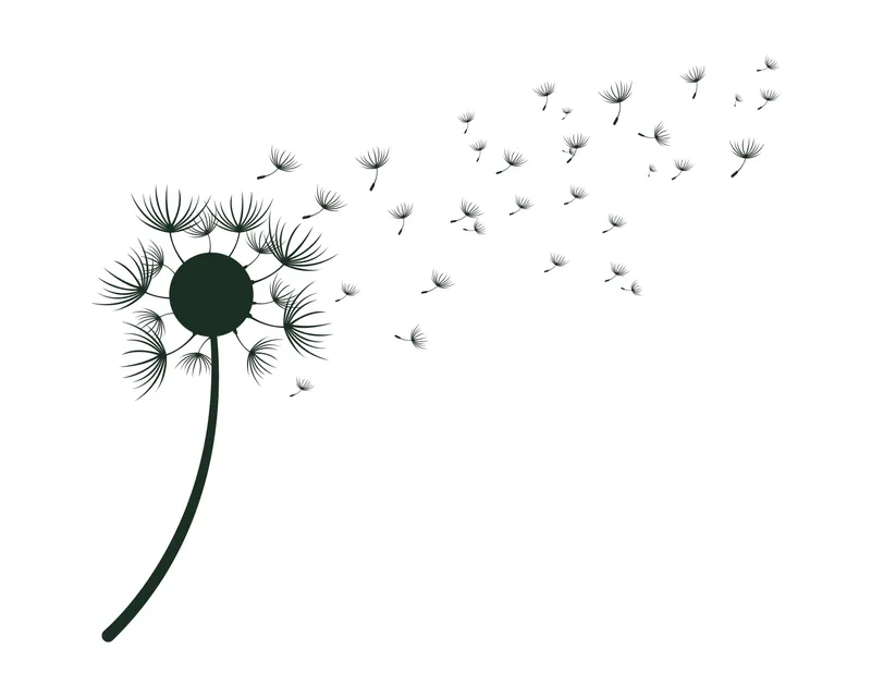 Sản phẩm dandelion — Công Ty Cổ Phần Nature Home Việt Nam — MST 0110340111