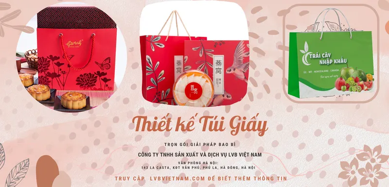 Sản phẩm Thiet ke tui giay — Công Ty TNHH Sản Xuất Và Dịch Vụ LVB Việt Nam — MST 0110365645