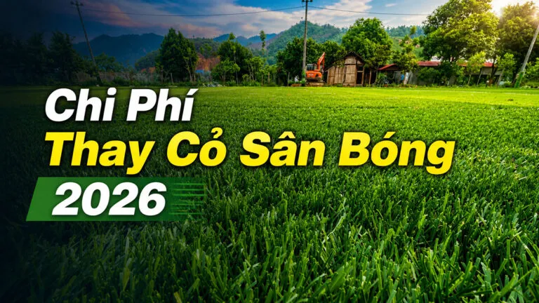 Sản phẩm Chi Phi Thay Co San Bong 2026 768x432 — Công Ty TNHH Sản Xuất Và Thương Mại Dịch Vụ Khánh Phát — MST 0110379711