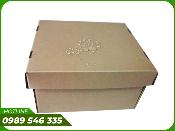 Sản phẩm thung kho lon (2) — Bao Bì Giấy We Pack - Công Ty TNHH Sản Xuất Và Thương Mại In Bao Bì We Pack — MST 0110490396