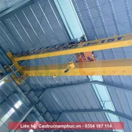 Sản phẩm cau truc dam doi 15 tan khau do 10 met 1_thumb — Công Ty TNHH Cầu Trục Nam Phúc — MST 0110616747