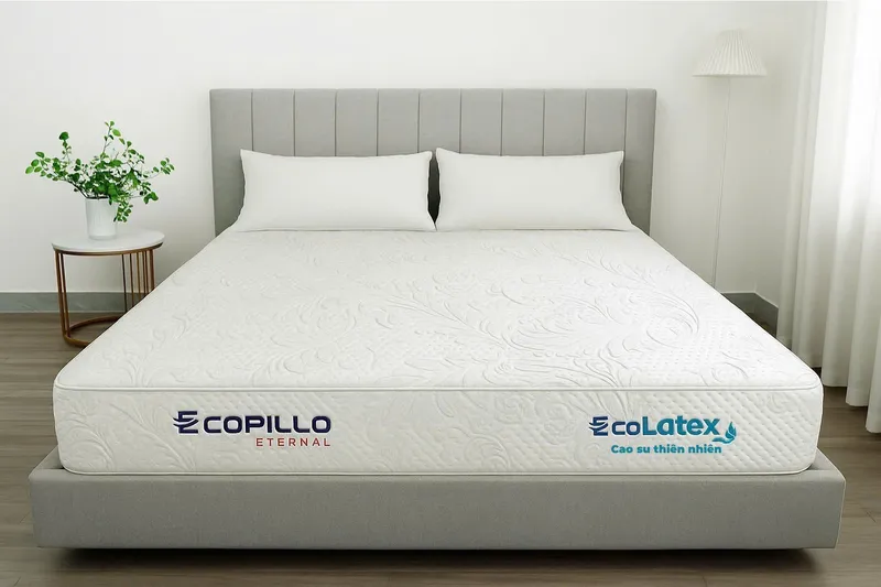 Sản phẩm Dem cao su thien nhien Eco Latex — Công Ty TNHH Ecopillo Eternal Việt Nam — MST 0110682605