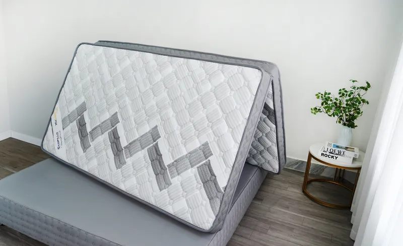 Sản phẩm Dem Ecopillo scaled — Công Ty TNHH Ecopillo Eternal Việt Nam — MST 0110682605