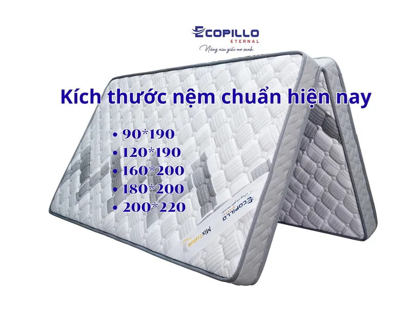 Sản phẩm Kich thuoc nem chuan hien nay scaled — Công Ty TNHH Ecopillo Eternal Việt Nam — MST 0110682605