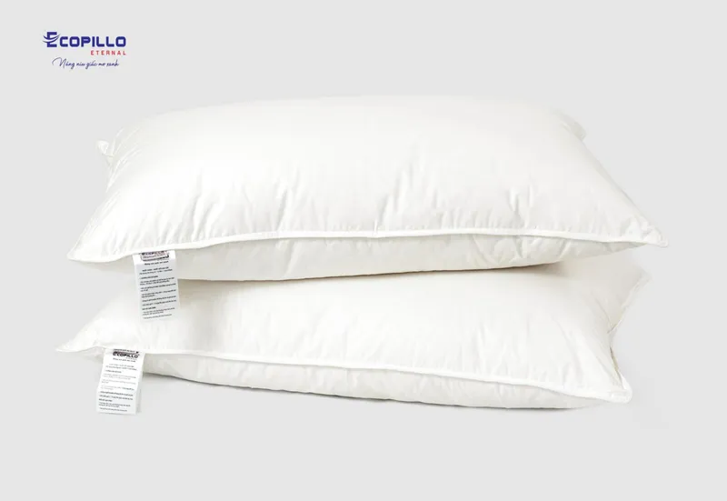 Sản phẩm Ruot goi long vu tu nhien Ecopillo 1600x1102 — Công Ty TNHH Ecopillo Eternal Việt Nam — MST 0110682605