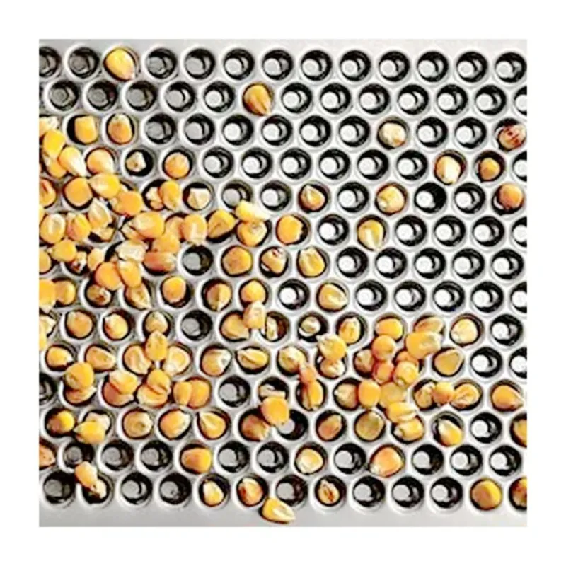 Sản phẩm z5510748003613_4ee2bde061131cf004b26e79403a4aaa — Gia Công Đột Dập Cơ Khí Phong Linh - Công Ty TNHH Sản Xuất Và Thương Mại Phong
Linh — MST 0110685772