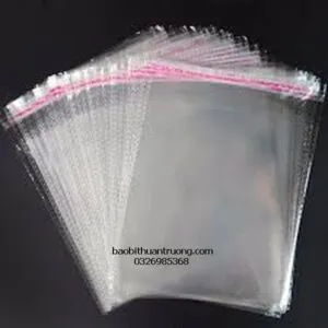 Sản phẩm Tui opp 16_result 300x300 — Công Ty TNHH Sản Xuất Và Thương Mại Thuận Trường — MST 0110692441