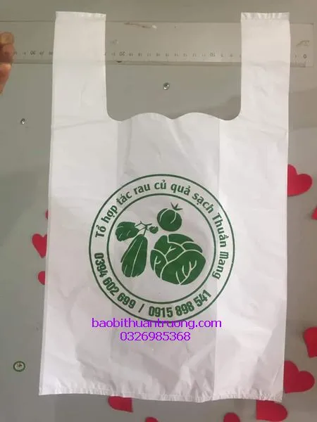 Sản phẩm in tui nilon 2 quai dung thuc pham_result — Công Ty TNHH Sản Xuất Và Thương Mại Thuận Trường — MST 0110692441
