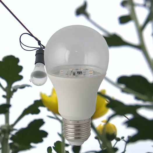 Sản phẩm led hc a60 6w 1 — Công Ty TNHH Tổ Hợp Thương Mại Evin — MST 0110707049