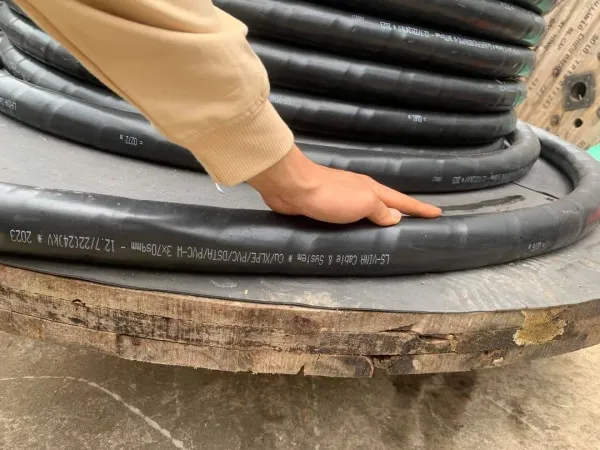 Sản phẩm trung the den — Công Ty TNHH Tổ Hợp Thương Mại Evin — MST 0110707049