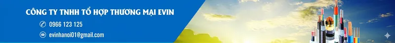 Sản phẩm 0966123125_1 — Công Ty TNHH Tổ Hợp Thương Mại Evin — MST 0110707049