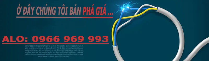 Sản phẩm banel — Công Ty TNHH Tổ Hợp Thương Mại Evin — MST 0110707049