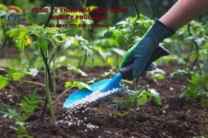 Sản phẩm Phan bon 300x200 — Hóa Chất Công Nghiệp - Công Ty TNHH Hóa Chất Công Nghiệp Phúc Hiếu — MST 0110725898