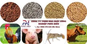 Sản phẩm Thuc an chan nuoi 300x153 — Hóa Chất Công Nghiệp - Công Ty TNHH Hóa Chất Công Nghiệp Phúc Hiếu — MST 0110725898