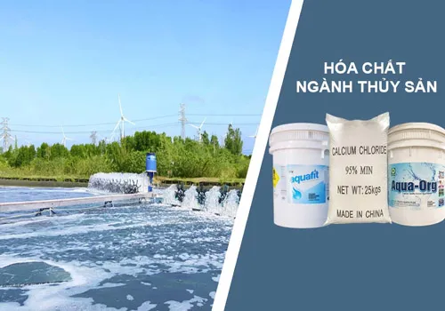 Sản phẩm thuy sna — Hóa Chất Miền Bắc D.A.P - Công Ty TNHH Xuất Nhập Khẩu Hóa Chất Miền Bắc D.A.P — MST 0110729902