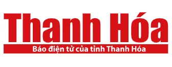 Sản phẩm bao thanh hoa — Công Ty TNHH Dịch Vụ Công Nghiệp Asia — MST 0110796560