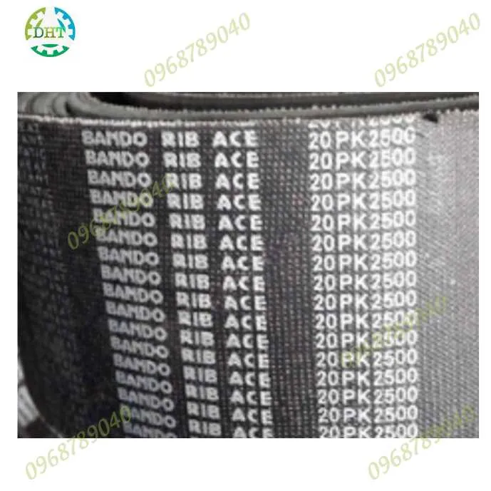 Sản phẩm Day cuora 20PK bando chinh hang — Công Ty TNHH Thiên Trường DHT — MST 0110805825