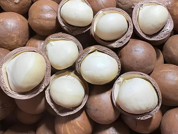 Sản phẩm Hat dinh duong — Nông Sản A&F - Công Ty TNHH Phát Triển A&F Việt Nam — MST 0110828967