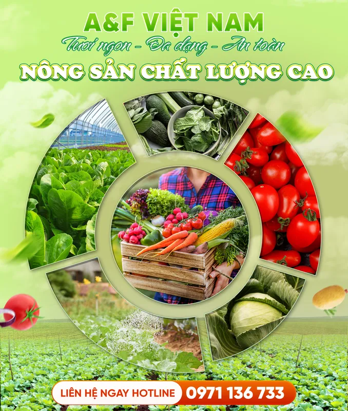 Sản phẩm Intro — Nông Sản A&F - Công Ty TNHH Phát Triển A&F Việt Nam — MST 0110828967