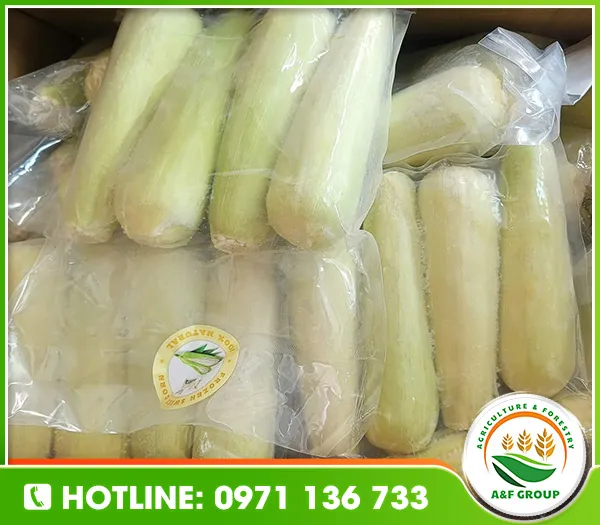 Sản phẩm z5959239500558_2837948f8fe86a5cc90de06740cc591b — Nông Sản A&F - Công Ty TNHH Phát Triển A&F Việt Nam — MST 0110828967