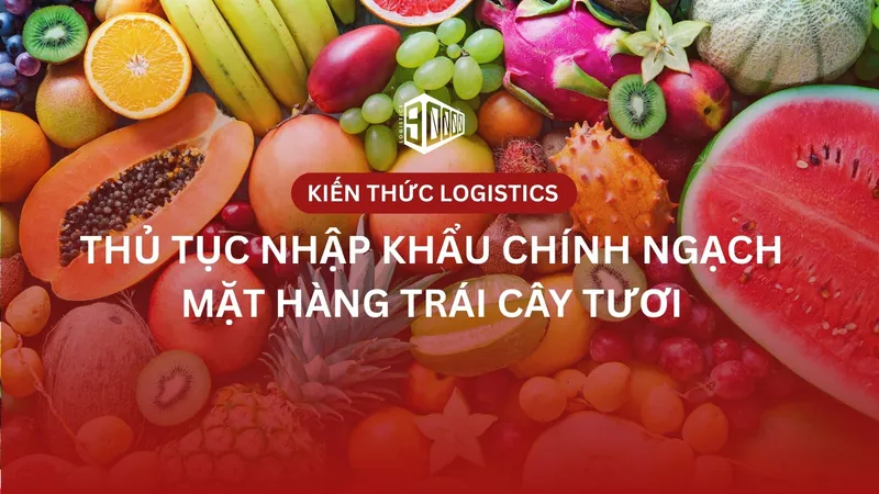 Sản phẩm thu tuc nhap khau trai cay tuoi — Công Ty TNHH Logistics 90000 — MST 0111004289