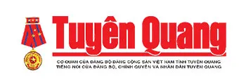 Sản phẩm bao chi 1 1 — Công Ty TNHH Đầu Tư Thương Mại Phú Đạt Vượng — MST 0111015989
