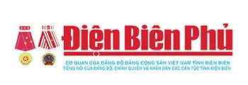 Sản phẩm bao chi 5 — Công Ty TNHH Đầu Tư Thương Mại Phú Đạt Vượng — MST 0111015989