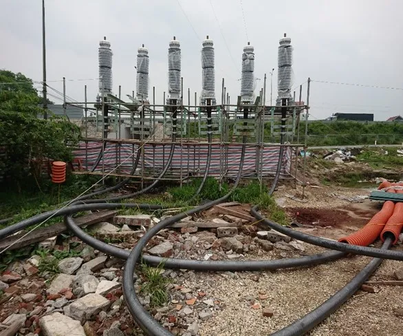 Sản phẩm phu xuyen ha noi — Công Ty Cổ Phần Cáp Điện Và Hệ Thống LS - Vina — MST 0200117005