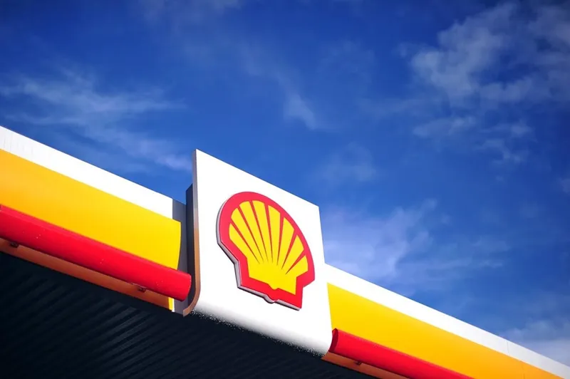 Sản phẩm 96222639shell company — Dầu Nhớt Việt Đức - Công Ty Cổ Phần Việt Đức — MST 0200430722