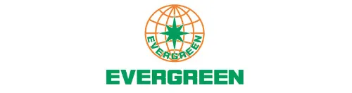 Sản phẩm evergreen — Chi Nhánh - Công Ty TNHH Trang Minh — MST 0200441442